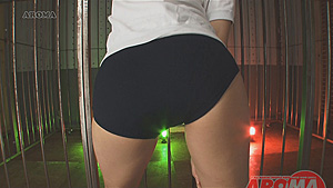 大胆ブルマ2　ブルマ美少女挑発遊戯 サンプル画像